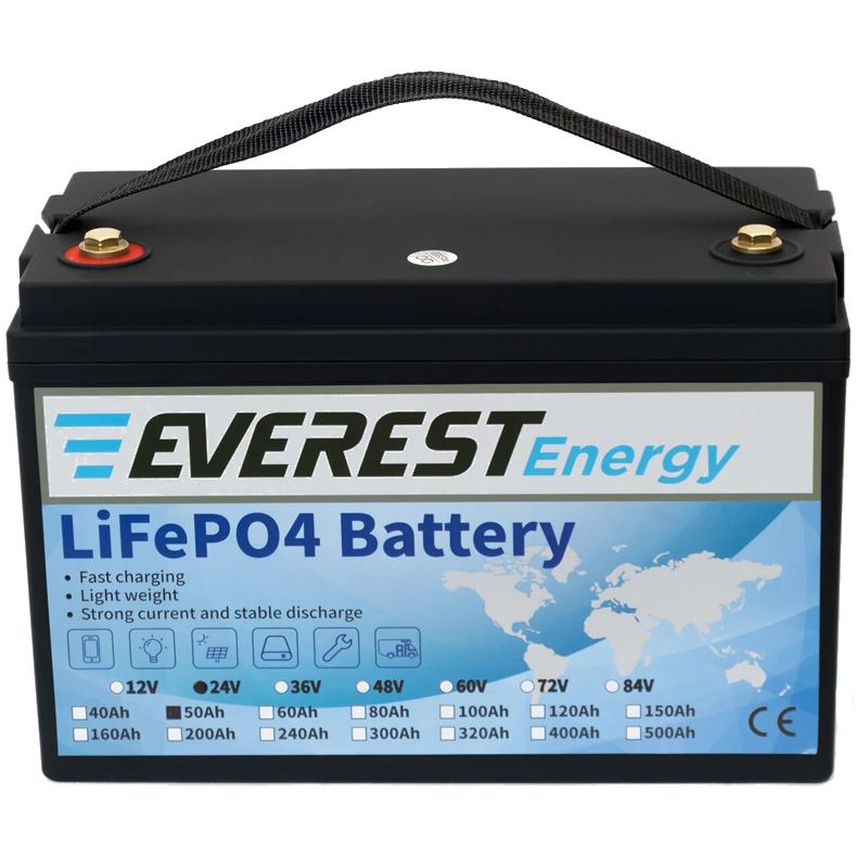 Литиевый тяговый аккумулятор Everest LFP-24V50AH