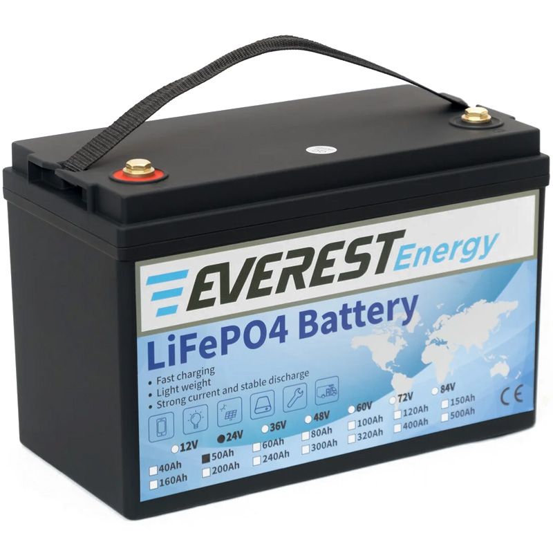 Литиевый тяговый аккумулятор Everest LFP-24V50AH - изображение 2