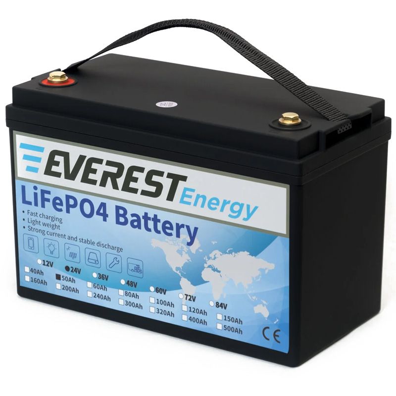 Литиевый тяговый аккумулятор Everest LFP-24V50AH - изображение 3