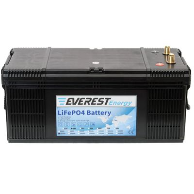 Литиевый тяговый аккумулятор Everest LFP-24V60AH - изображение 10