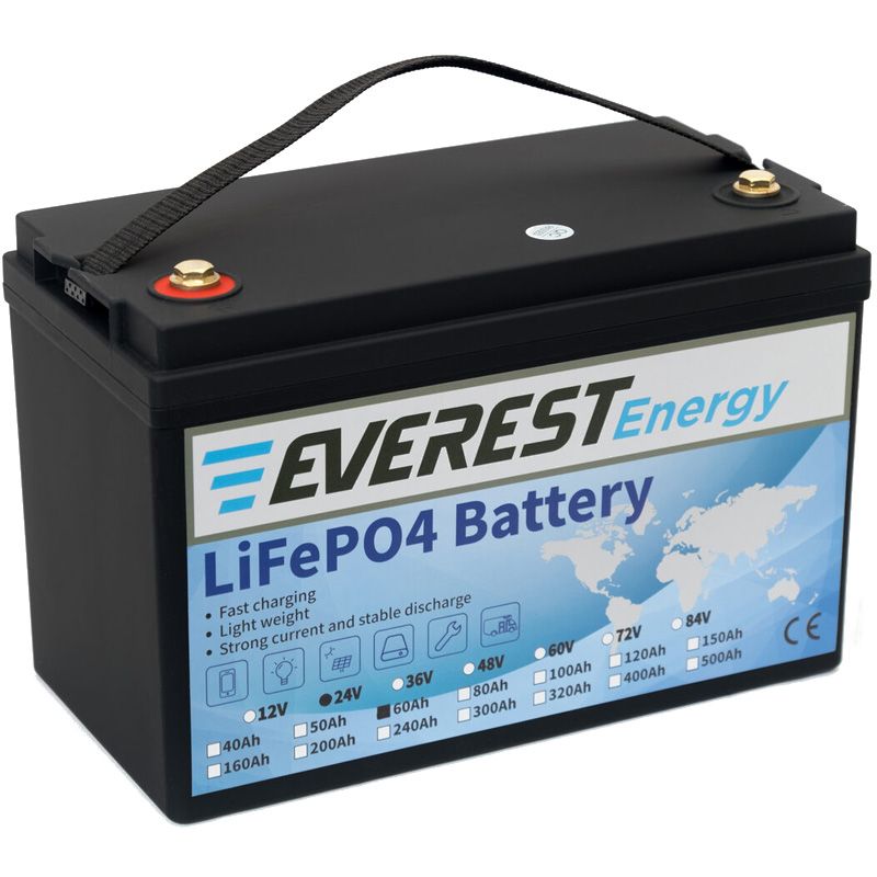 Литиевый тяговый аккумулятор Everest LFP-24V60AH - изображение 3