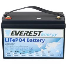 Литиевый тяговый аккумулятор Everest LFP-24V60AH - изображение 5