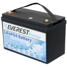 Литиевый тяговый аккумулятор Everest LFP-24V60AH - изображение 6