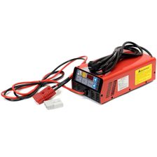 Зарядное устройство Everest LFP-24V80A - изображение 8