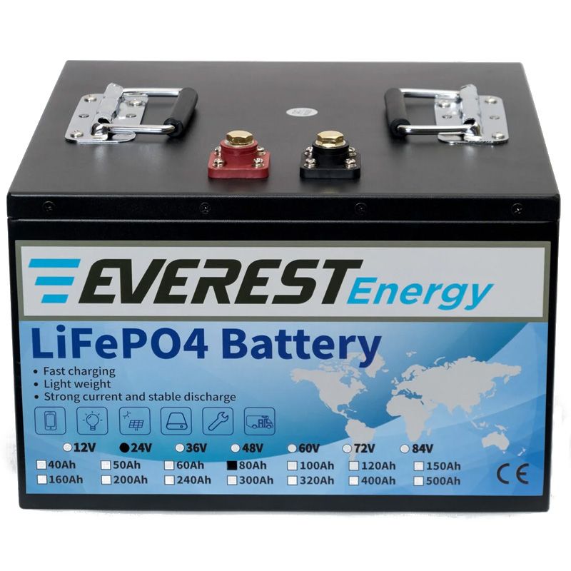 Литиевый тяговый аккумулятор Everest LFP-24V80AH