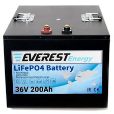 Литиевый тяговый аккумулятор Everest LFP-36V200AH - изображение 3
