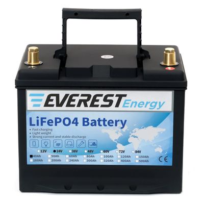 Литиевый тяговый аккумулятор Everest LFP-36V200AH - изображение 7