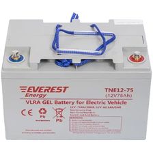 Тяговый аккумулятор Everest TNE 12-75 - изображение 3