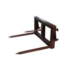 Вилы штырьевые Exten ZL2000 - изображение 3