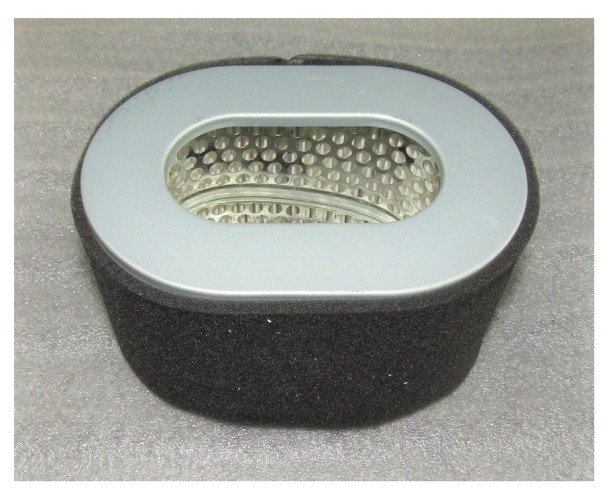 Фильтр воздушный ТСС (элемент овал) SDG 8000 Shark 1100FE / Air filter element Shark 1100FE 040540 - изображение 2