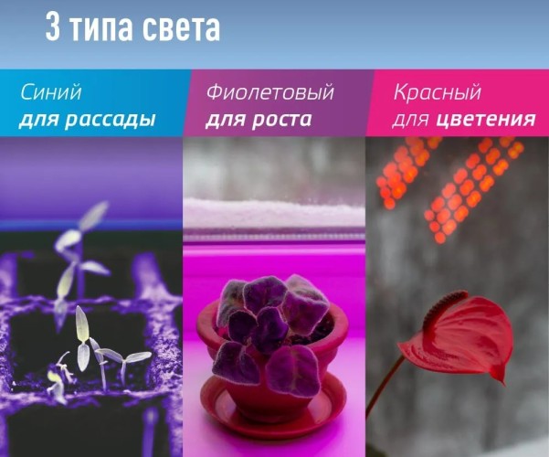 Фитосветильник КОСМОС DESKGX6319 настольный 3 спектра излучения. 14Вт, 5В 2А КОС_DESKGX6319 - изображение 2