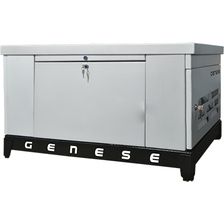 Газовый генератор Genese GE35 (в шумозащитном кожухе) - изображение 2