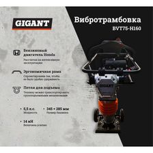 Вибротрамбовка Gigant BVT75-H160 - изображение 39