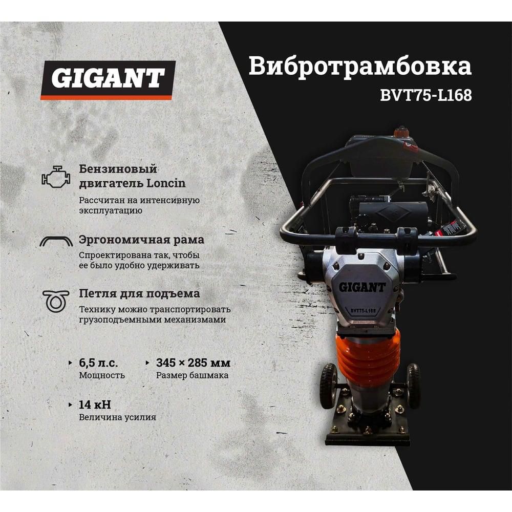 Вибротрамбовка Gigant BVT75-L168 - изображение 9