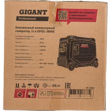 Инверторный генератор Gigant Professional GPIGL-3800E - изображение 68