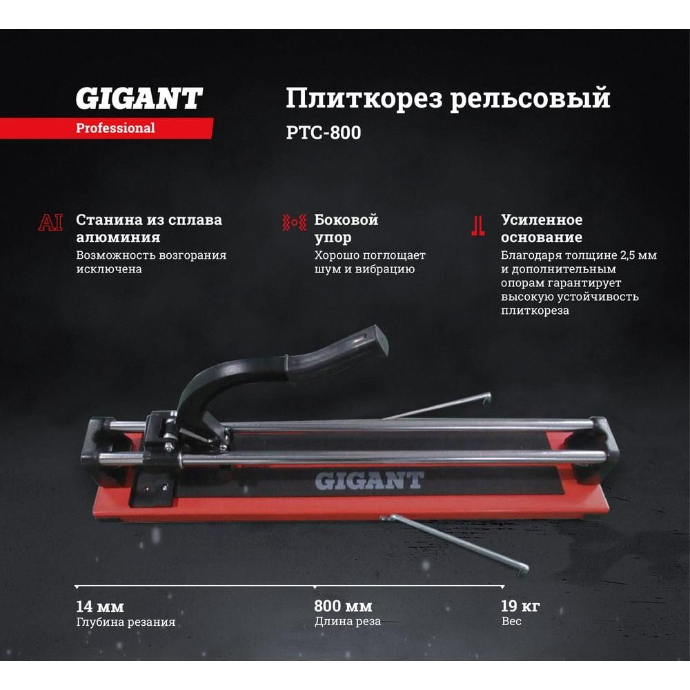 Рельсовый плиткорез Gigant Professional PTC-800 - изображение 10