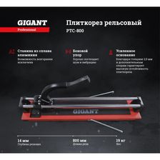Рельсовый плиткорез Gigant Professional PTC-800 - изображение 20