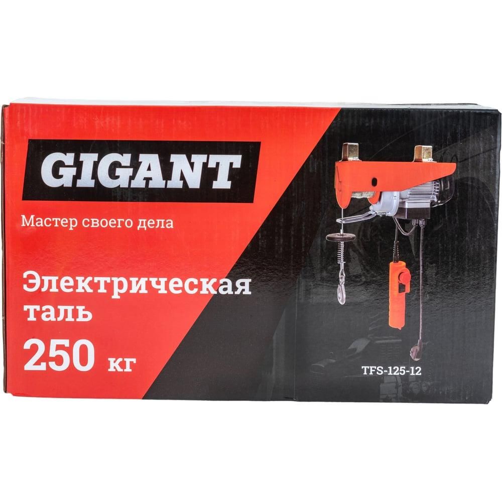 Электрическая таль Gigant TFS-125-12 - изображение 9