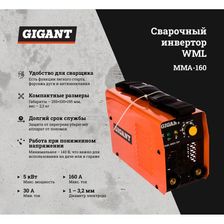 Сварочный инвертор Gigant WML MMA-160 - изображение 21
