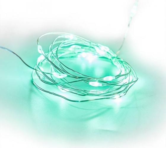 Гирлянда Neon-Night РОСА 2м 20 LED зеленые (2*CR2032 в комплекте) 303-008