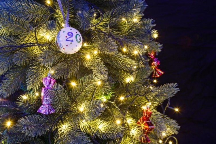 Гирлянда Neon-Night ТВИНКЛ 10м темно-зеленый ПВХ, 80 LED теплый белый 303-046 - изображение 4