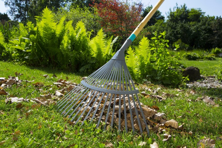 Грабли веерные GARDENA ClassicLine 17202-20.000.00 17202-20.000.00 - изображение 3