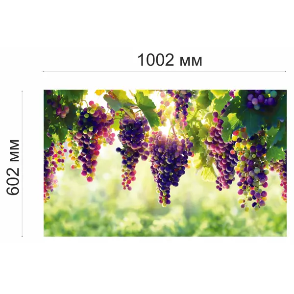 Листовая панель ПВХ GRACE Виноград 1002x602x0.5 мм 0.6 м2 - изображение 5