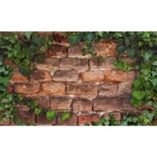 Листовая панель ПВХ GRACE Плющ 1002x602x0.5 мм 0.6 м2 - изображение 8