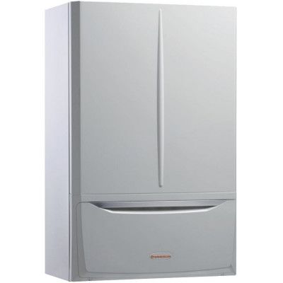 Настенный газовый котел Immergas Nike Mythos 24 3 R - изображение 8