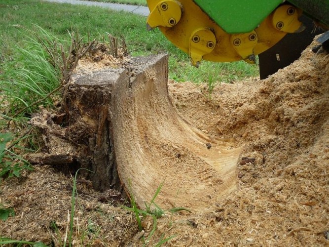 Измельчитель пней LASKI F500H/27 с ножом-отвалом - изображение 2