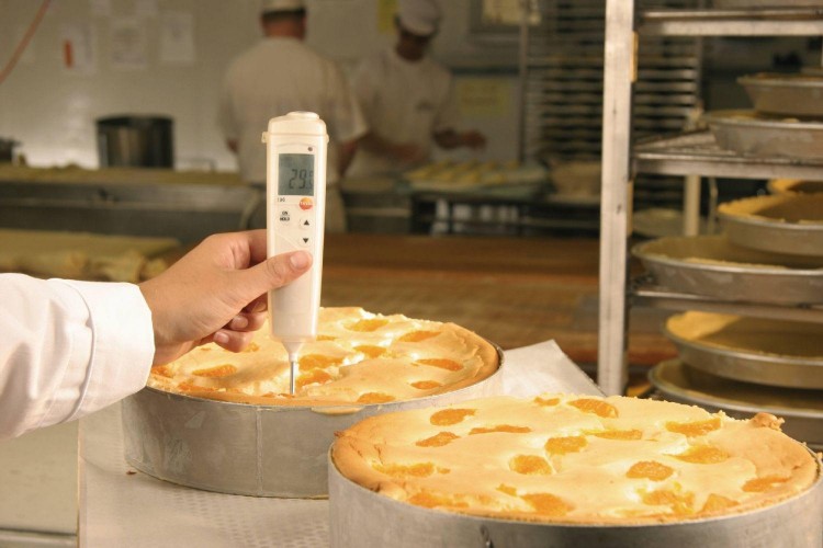 Измеритель температуры погружной Testo 106 0560 1063 - изображение 3