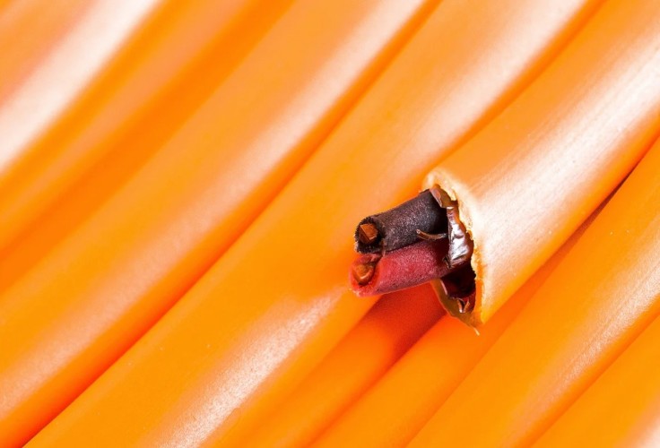 Кабель REXANT 01-4903-1 КПСЭнг(A)-FRLS 1x2x0,75мм², 200м (ТОП-3) - изображение 2