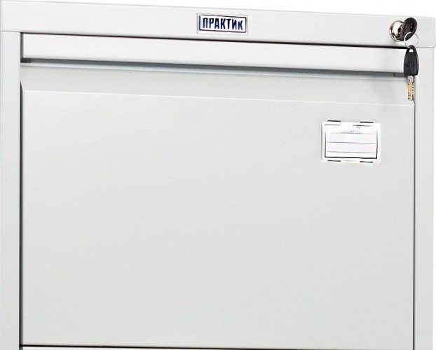 Картотека ПРАКТИК AFC-04 S20299040102 - изображение 3