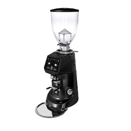 Кофемолка Fiorenzato F83 E черный