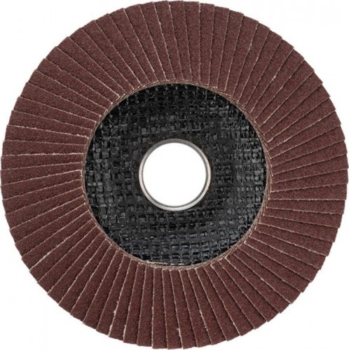 Круг лепестковый REXANT P100 торцевой 125х22,2 мм 90-0016