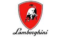 Комбинированный котел Lamborghini MEGAPREX N 600N - изображение 3