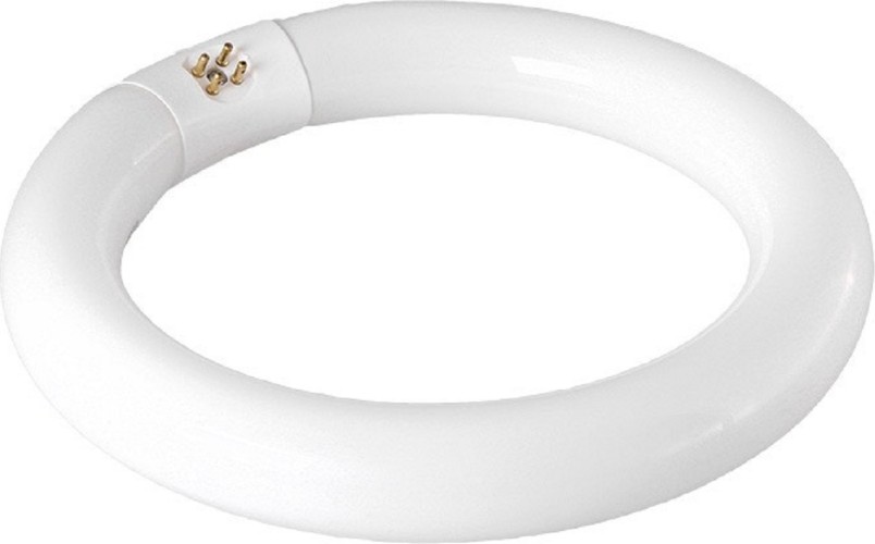 Лампа кольцевая REXANT 31-0801 люминесцентная 22Вт