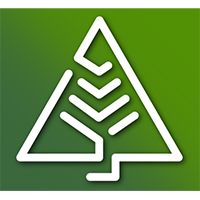 Фанера LARCH 12 мм лиственница 600Х1220 мм сорт 1/3 0.732 м2 - изображение 7