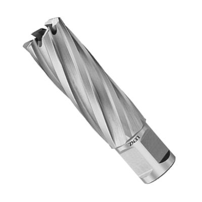 Кольцевая фреза Lenz LZHL 27x100 мм - изображение 8