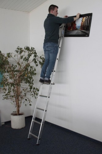 Лестница приставная KRAUSE CORDA 10 ступеней 010100 - изображение 2