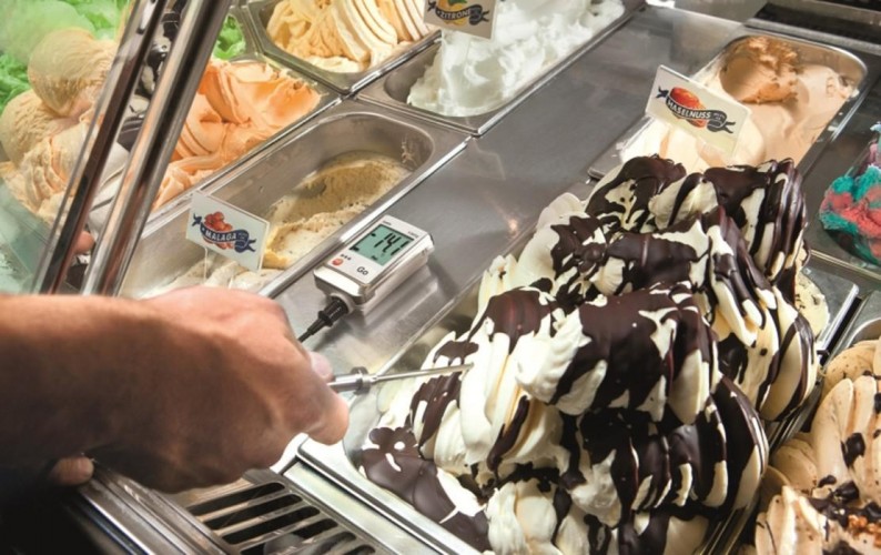 Логгер данных температуры Testo 175 Т2 0572 1752 - изображение 2