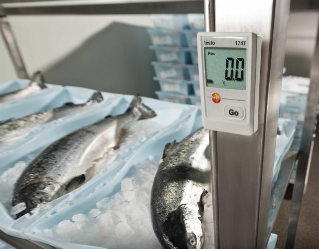 Мини логгер данных температуры Testo 174Т 0572 1560 - изображение 3