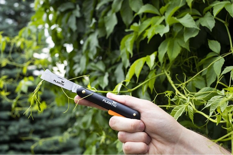 Нож для прививок прямой PLANTIC 37300-01 - изображение 4