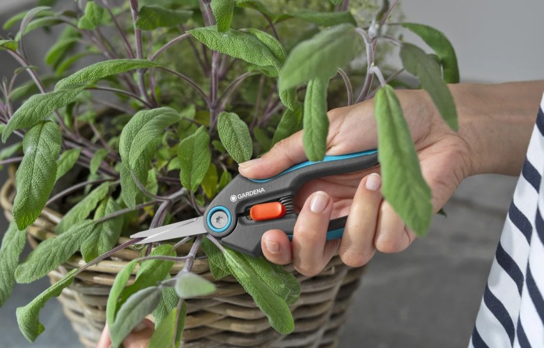 Ножницы для травы GARDENA FreshCut ягод и срезания цветов 12212-20.000.00 - изображение 3