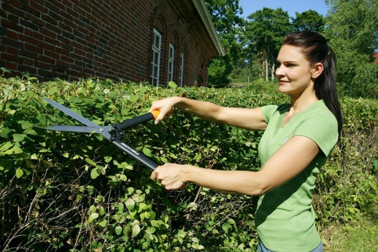 Ножницы для живой изгороди FISKARS HS52 1001564 1001564 - изображение 2