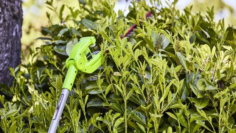 Ножницы-кусторез аккумуляторные телескопические GREENWORKS G24PH51, 24V без АКБ и ЗУ 2300707 - изображение 2