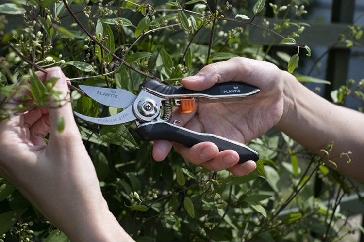 Ножницы PLANTIC 35307-01 для маленьких растений, изогнутые - изображение 4