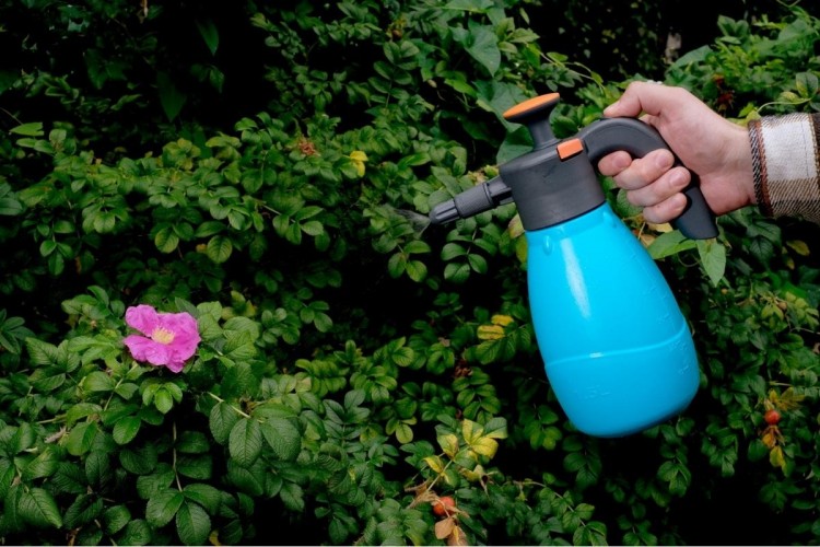 Опрыскиватель ручной PLANTIC 29461-01 Light садовый 1,5л - изображение 4