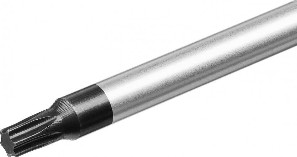 Отвертка TX ЗУБР ПРОФЕССИОНАЛ tx20x100 25234-20_z01 - изображение 2
