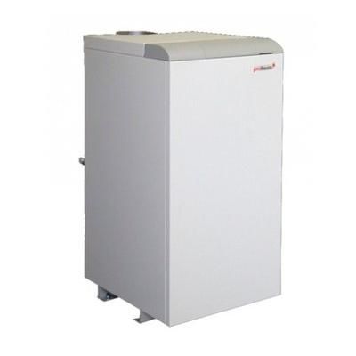 Напольный газовый котел Protherm Медведь 20 TLO (20TLOR15)